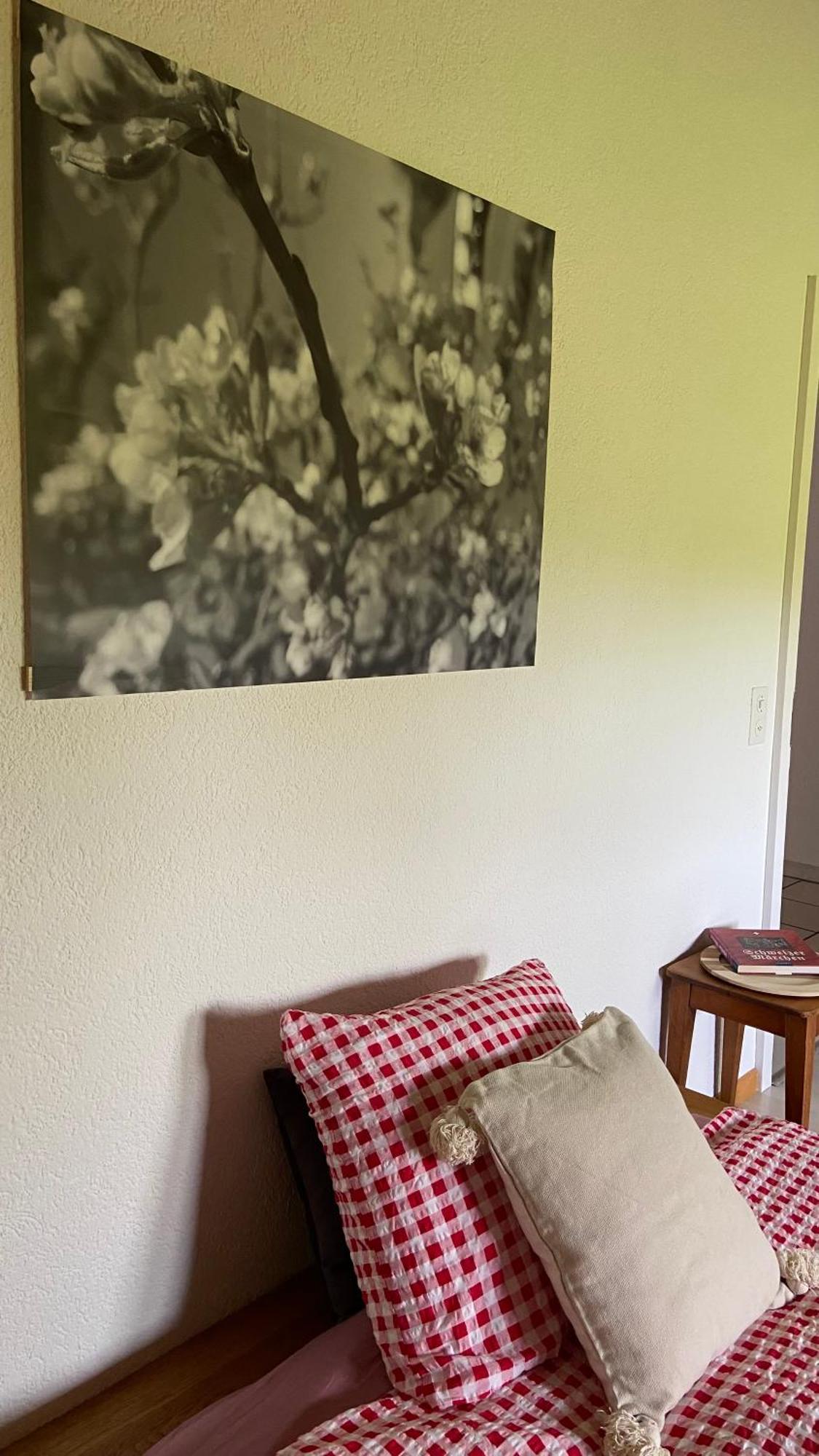 Naturnahe Familienwohnung Ruschegg 外观 照片