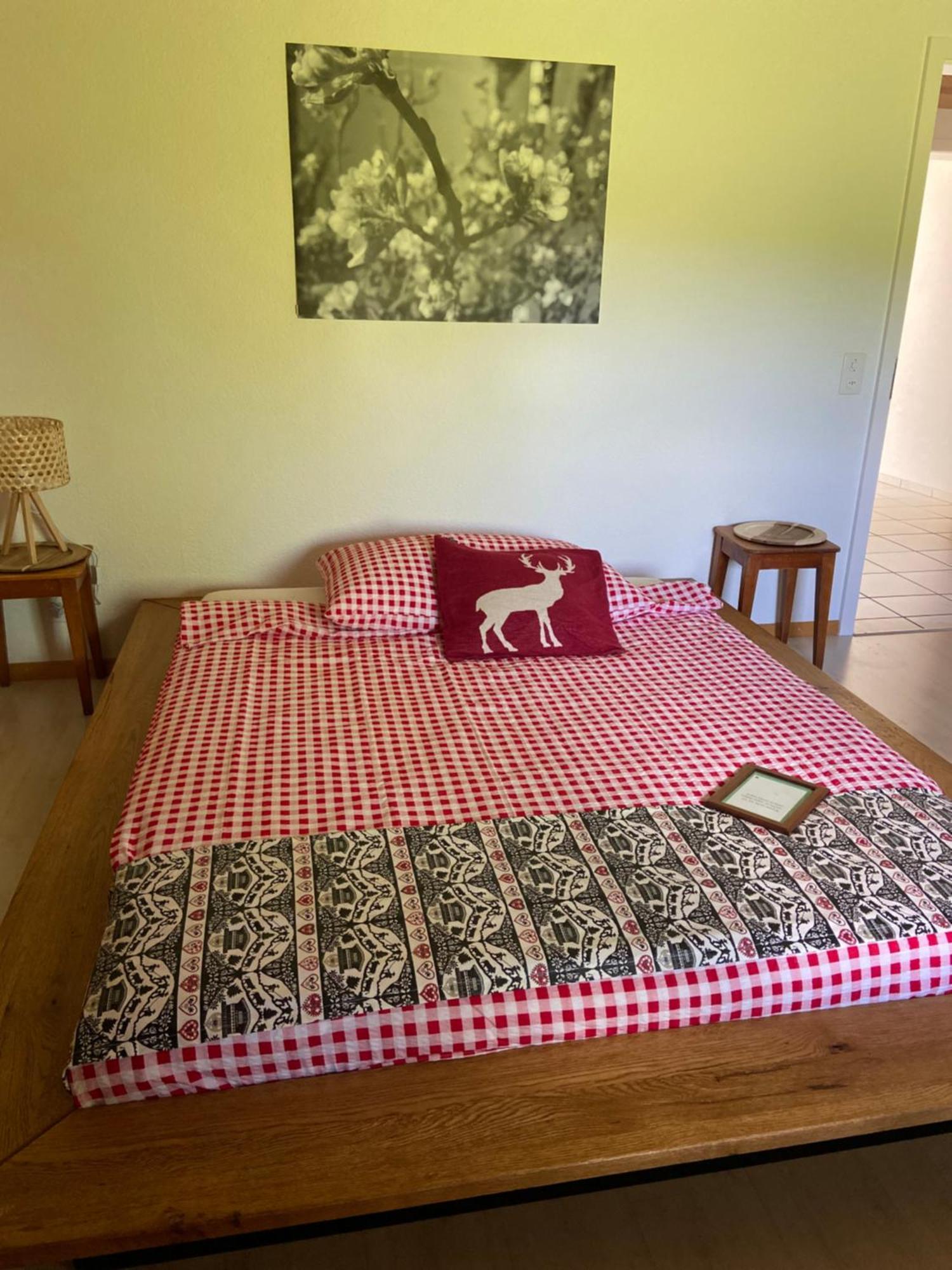 Naturnahe Familienwohnung Ruschegg 外观 照片