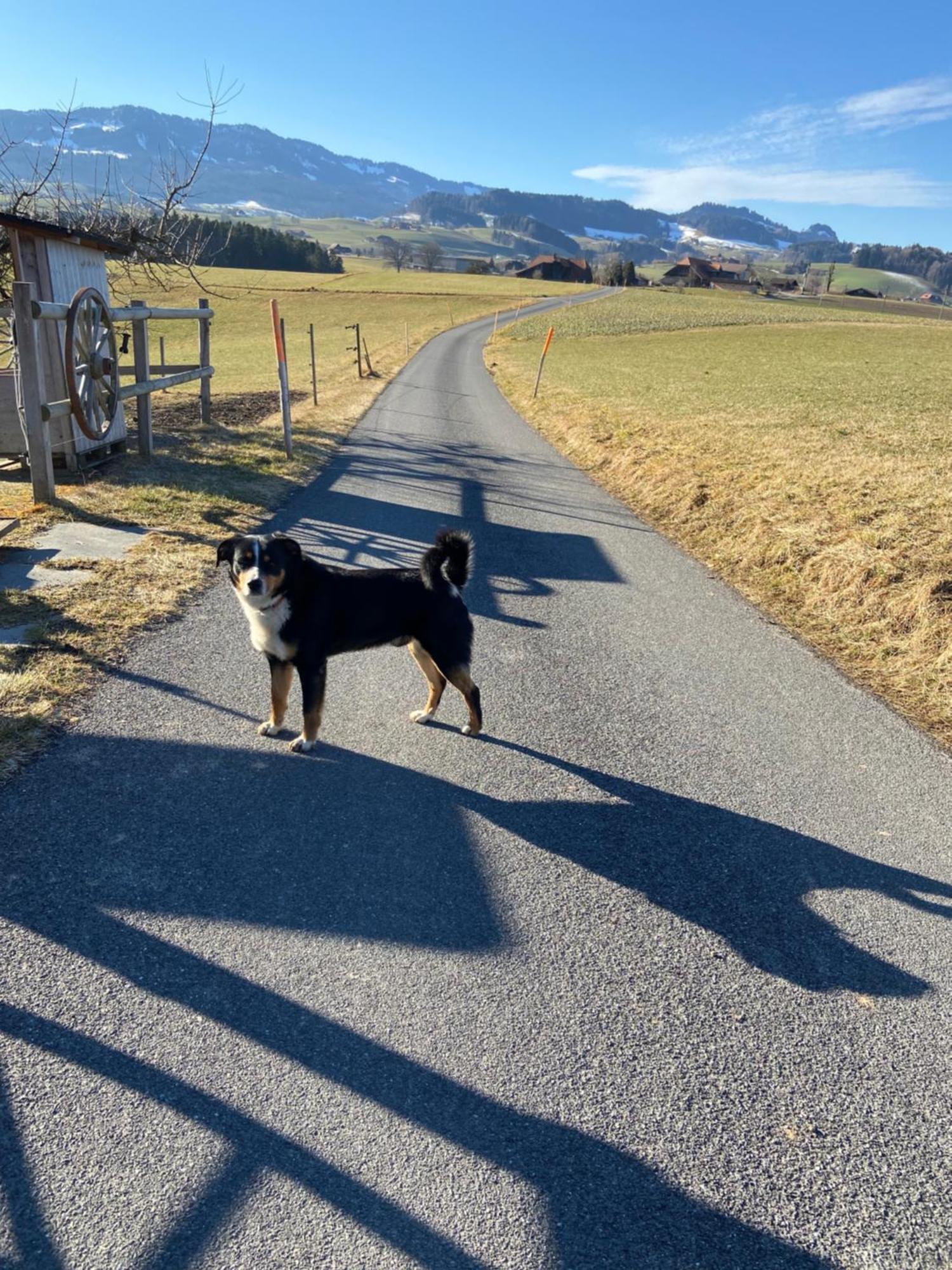 Naturnahe Familienwohnung Ruschegg 外观 照片