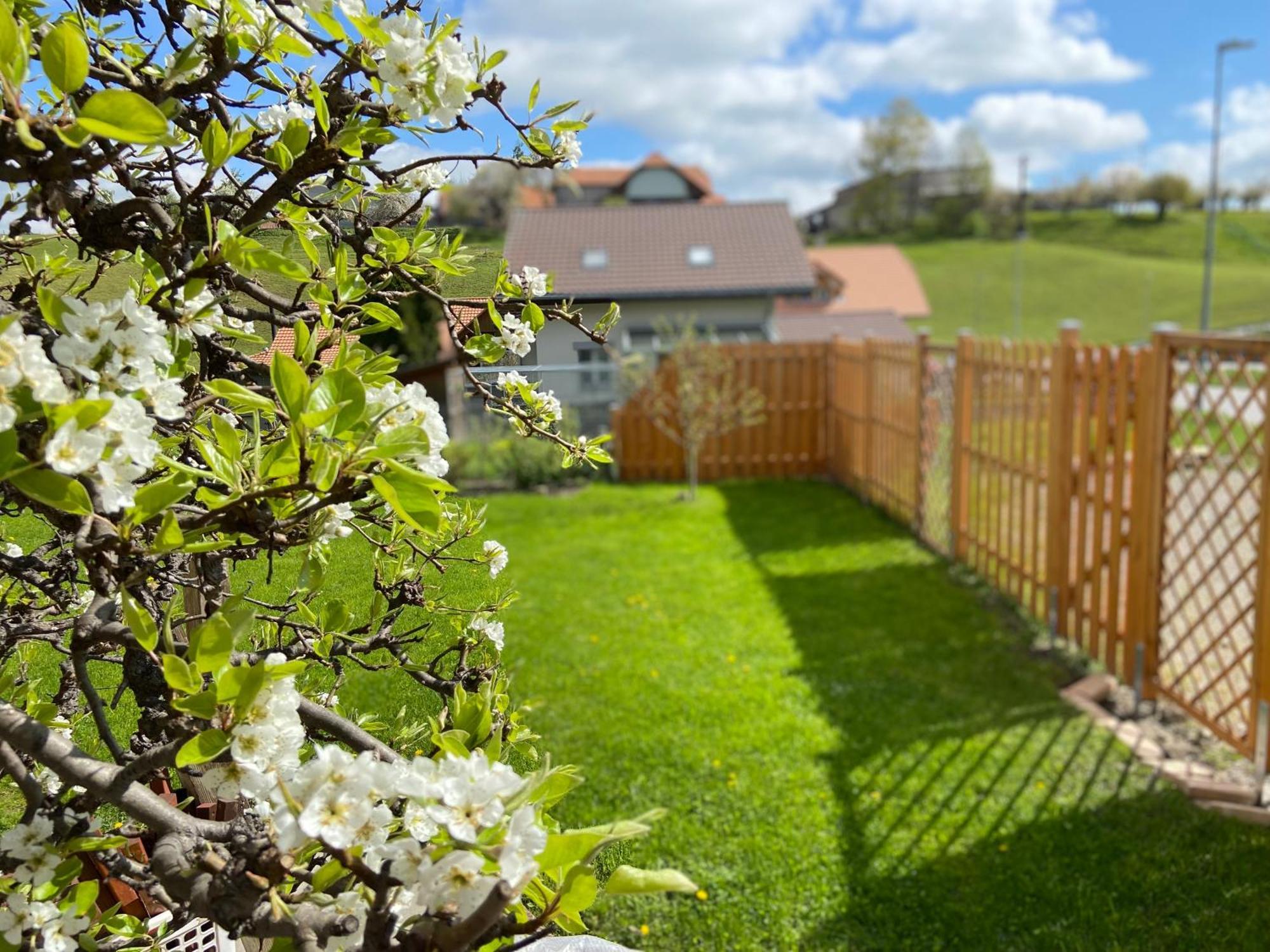 Naturnahe Familienwohnung Ruschegg 外观 照片